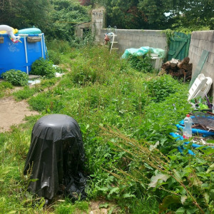 Photo de galerie - Petite tonte