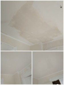 Photo de galerie - Réparation suite a des dégâts des eaux plus peinture murs et plafond
