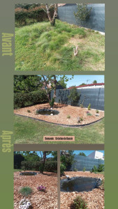 Photo de galerie - Paysagiste - Aménagement du jardin