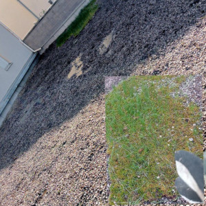 Photo de galerie - Entretien toiture végétalisée – terrasse – bricolage