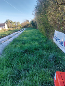 Photo de galerie - Tonte de pelouse - Débroussaillage