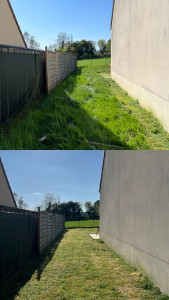 Photo de galerie - Tonte de pelouse - Débroussaillage