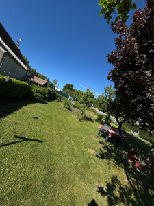 Photo de galerie - Tonte d’une pelouse 