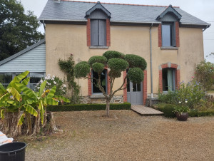 Photo de galerie - Taille olivier