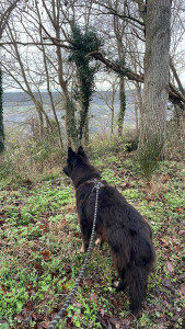 Photo de galerie - De belles balades 