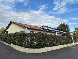 Photo de galerie - Taille d’arbustes 