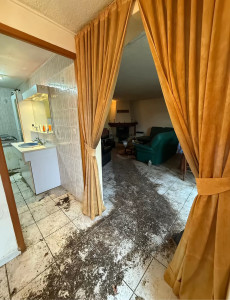 Photo de galerie - Préparation - nettoyage de salle