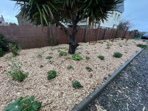 Photo de galerie - Plantations + module bois structures grimpantes + paillage 