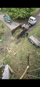 Photo de galerie - Abattage de cyprès 