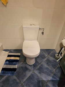 Photo de galerie - Pose wc villeroy & boch 