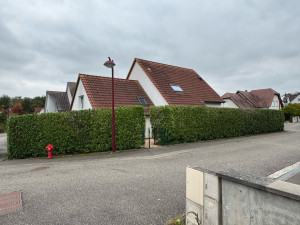 Photo de galerie - Taille d’une haie de laurier 