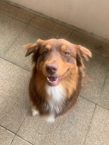 Photo de galerie - Madame Laika <3