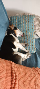 Photo de galerie - On est quand même pas mal sur le canapé ?