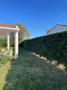 Photo de galerie - Taille de mise en forme 