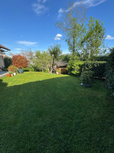 Photo de galerie - Tonte de pelouse - Débroussaillage