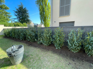 Photo de galerie - Plantation 