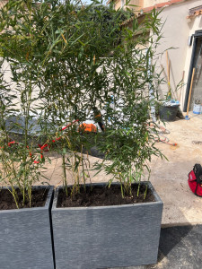 Photo de galerie - Paysagiste - Aménagement du jardin