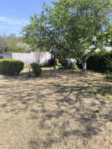 Photo de galerie - Tonte pelouse 