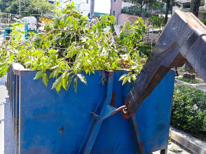 Photo de galerie - Evacuation Dechest Vert ou Gravats 