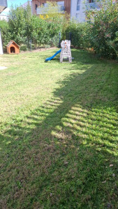 Photo de galerie - Petit jardin tondu et débroussailler 