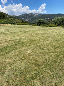 Photo de galerie - Tonte de pelouse - Débroussaillage