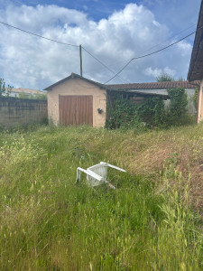 Photo de galerie - Tonte de pelouse - Débroussaillage