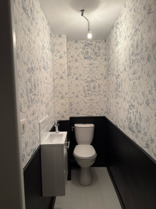 Photo de galerie - Réalisation de peinture et pose de papier peint dans ce WC, avec une finition soignée et un rendu moderne et élégant.