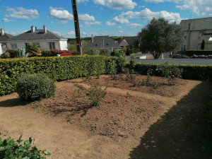 Photo de galerie - Tailler les haies.
Bêchage des parterres de fleur.
Taillage des arbustes. 