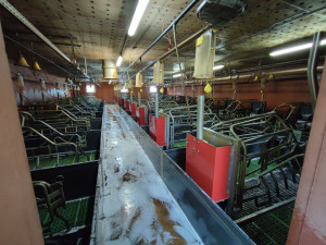 Photo de galerie - Lavage de maternité 