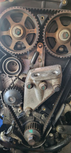 Photo de galerie - O