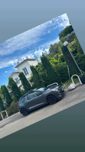 Photo de galerie - Taille cyprès chandelles 