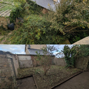 Photo de galerie - Débroussaillage 