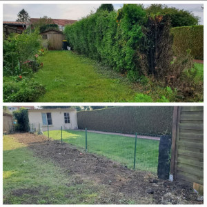 Photo de galerie - Taille de haies et d'arbustes