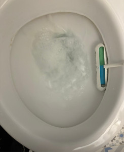 Photo de galerie - Débouchage toilette 