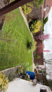 Photo de galerie - Aménagement pose de rouleau de gazon après 