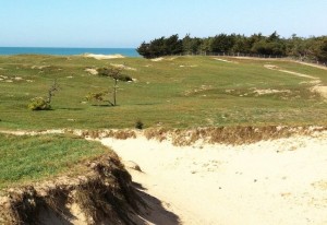 Photo de galerie - MER COTE ATLANTIQUE