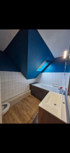 Photo de galerie - Peinture bleu sur mur de salle de bain
et plafond en blanc.