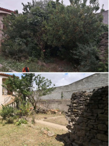 Photo de galerie - Abattage d’arbres 