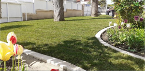 Photo de galerie - La finition