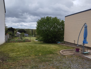 Photo de galerie - Tonte de pelouse - Débroussaillage