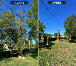 Photo de galerie - Élagage difficile car câble haute tension et câble de Telecom à proximité …. La souche sera prochainement enlever … 