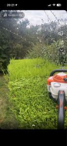 Photo de galerie - Entretien