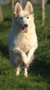 Photo de galerie - Jersey