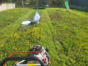 Photo de galerie - Tonte du  jardin avant mon passage 