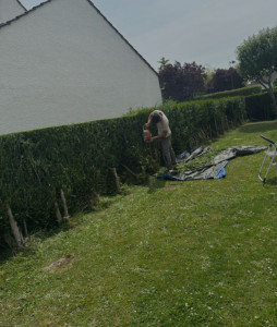 Photo de galerie - Taille de haie 