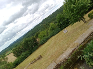 Photo de galerie - Tonte et débroussailleuse sur un terrain de
2000m2



 