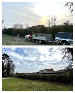 Photo de galerie - Taille de haies et d'arbustes