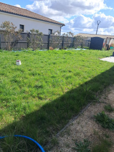 Photo de galerie - Avant le premier passage de tonte. 