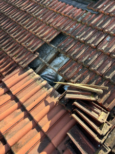 Photo de galerie - Charpente très abîmé