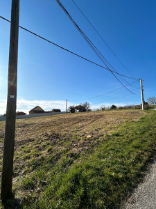 Photo de galerie - Paysagiste - Aménagement du jardin